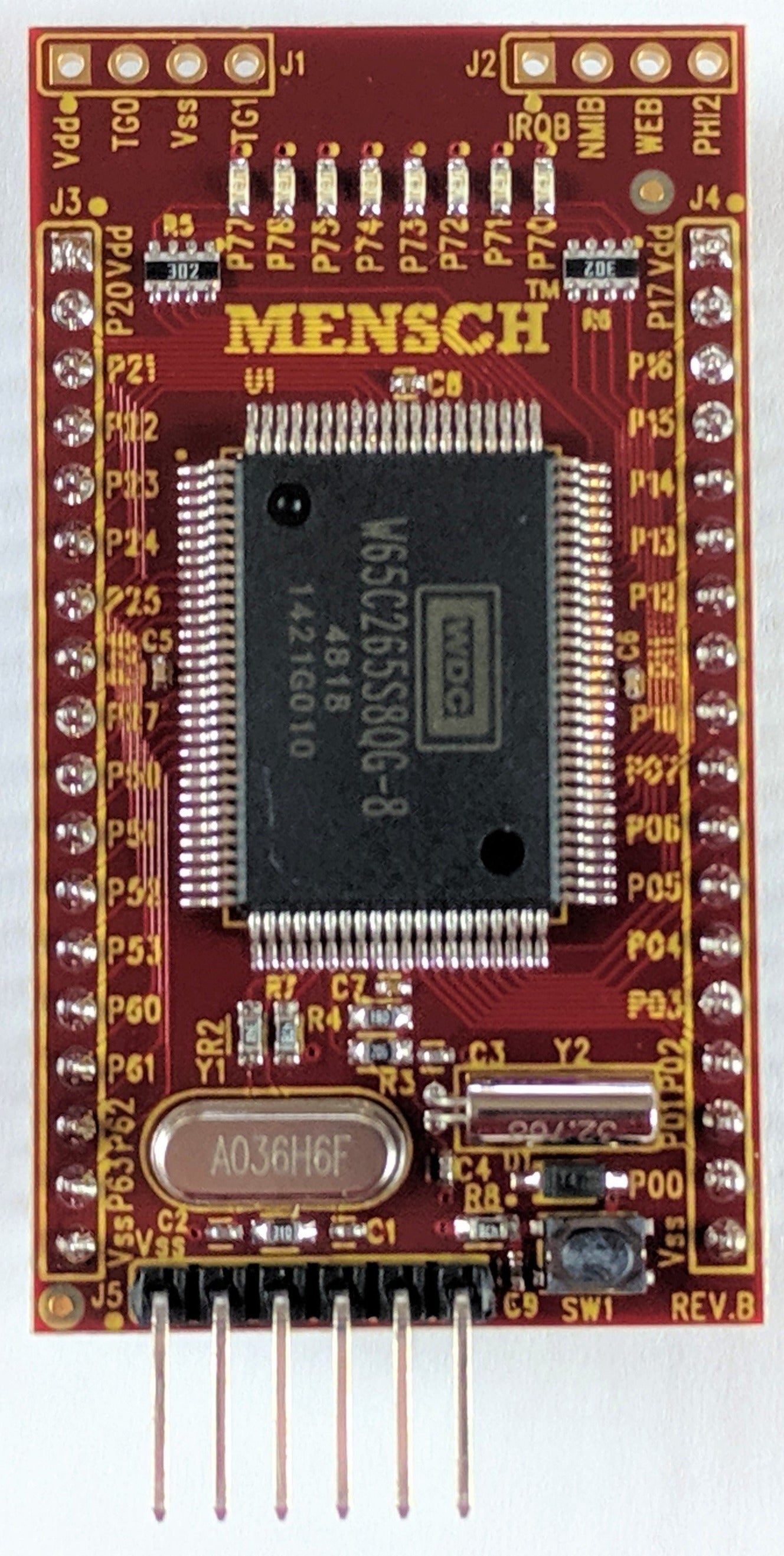 MENSCH Microcomputer - W65C265S Based Microcomputer board